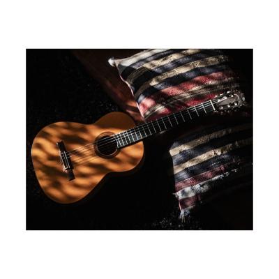 Une guitare sur le coussin kilim