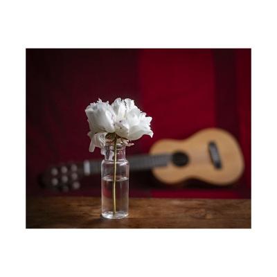 Une pivoine blanche et la petite guitare