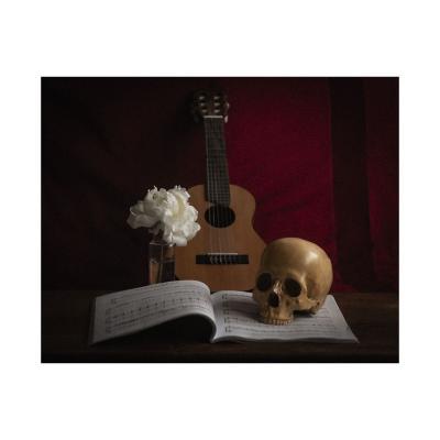 Vanité au crâne, pivoine, guitare et cahier