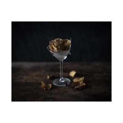 Une rose orange dans un verre brisé