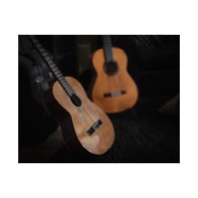 Deux guitares