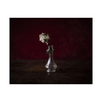 Rose blanche dans le vase rond